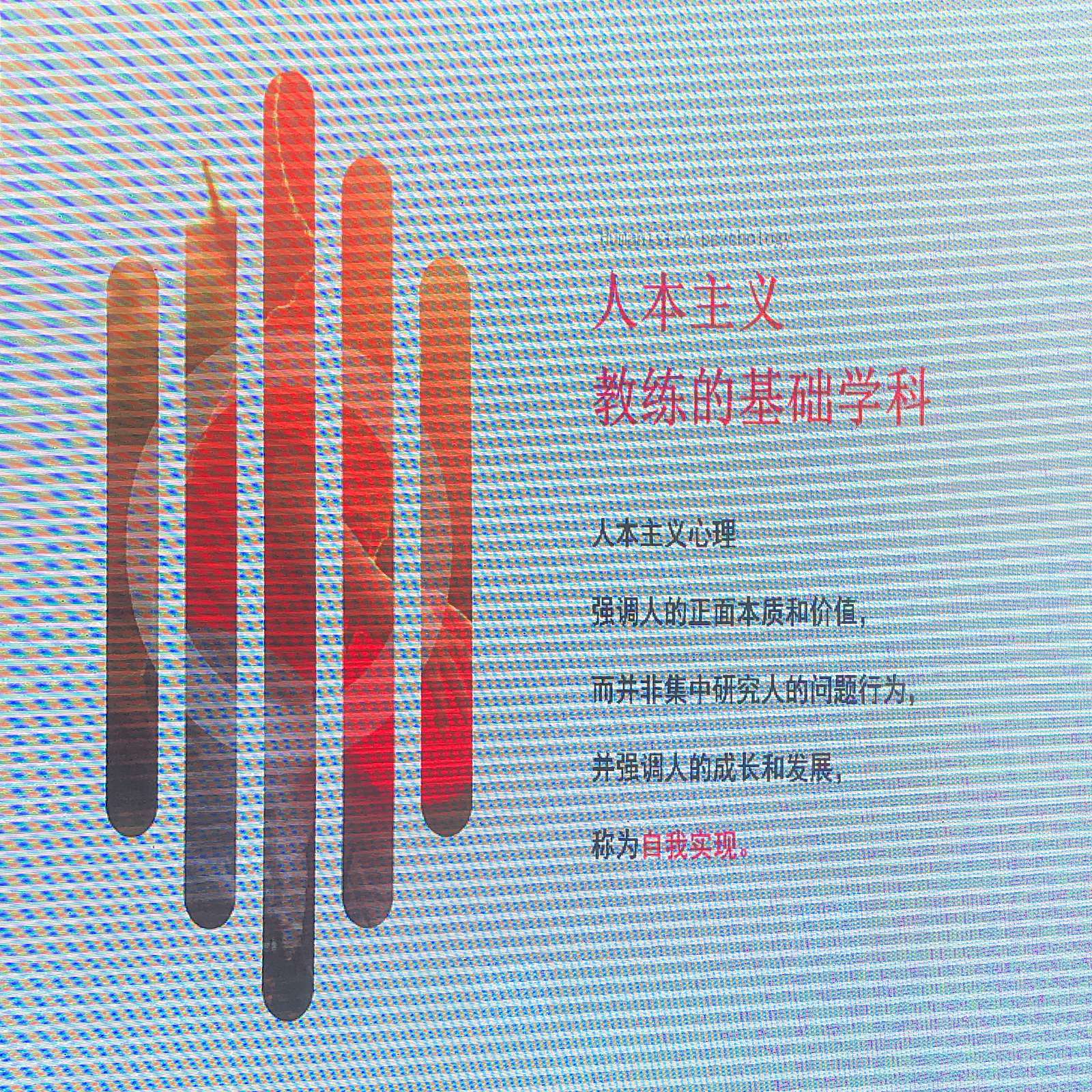 教练式父母-图片2